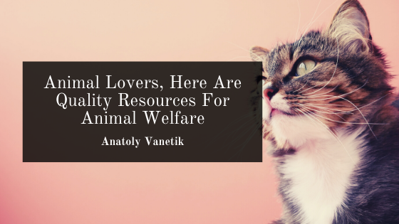 Animal Lovers, Here Are Quality Resources For Animal Welfare