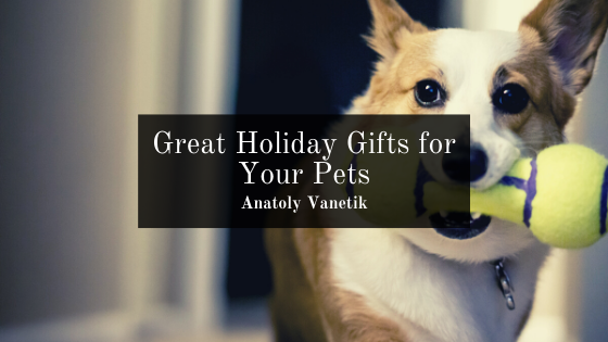 Great Holiday Gifts For Your Pets