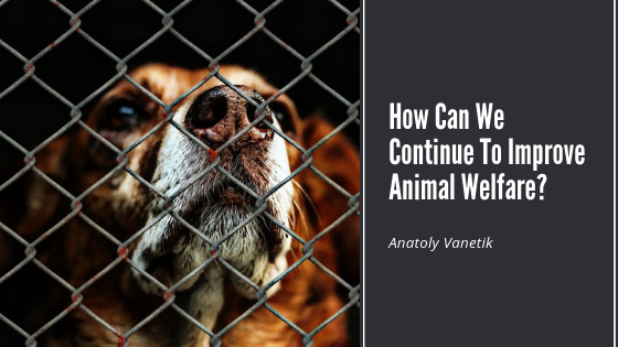 How Can We Continue To Improve Animal Welfare?