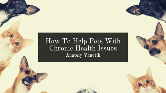 How To Help Pets With Chronic Health Issues