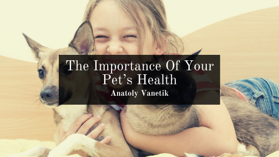 The Importance Of Your Pet’s Health
